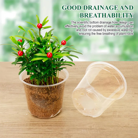30-Pack Clear Plastic Nursery Pots with Drainage Holes
