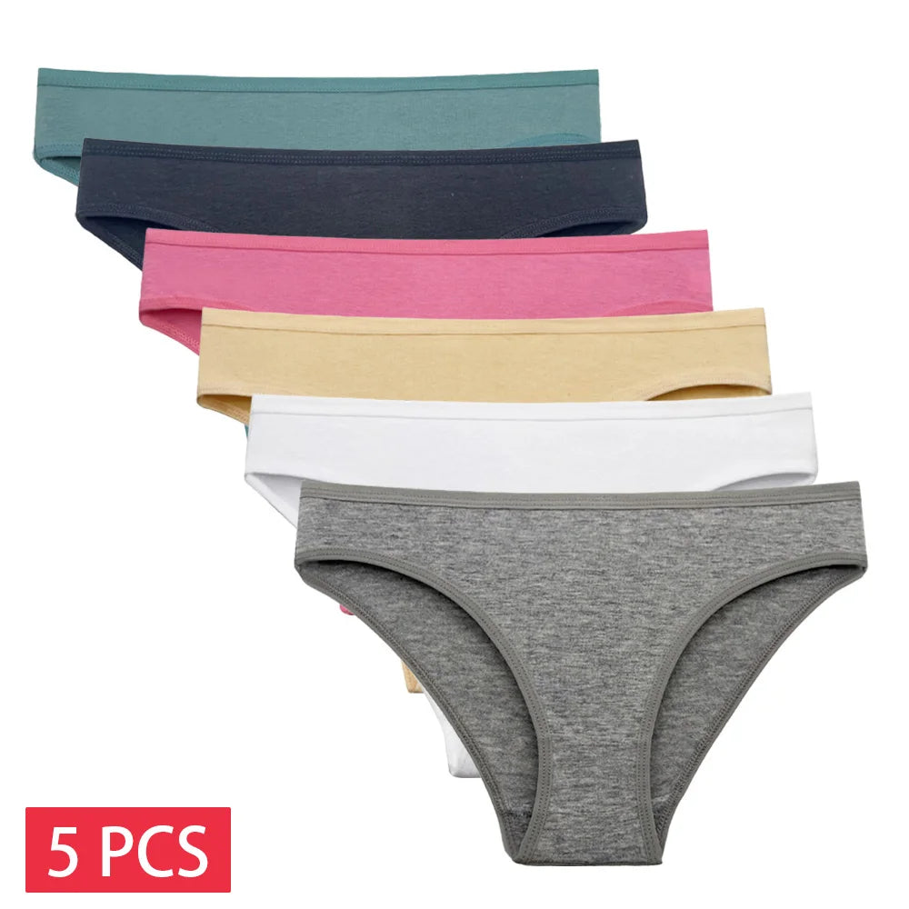Women's 5-Pack Lace Trim Cotton Seamless Briefs Underwear