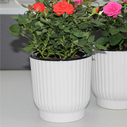 Modern White Round Self-Watering Desktop Plant Pot