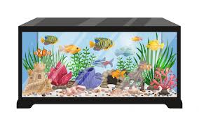 Aquariums