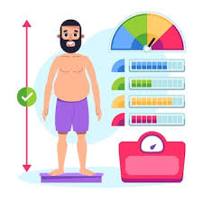 Body Fat Scale