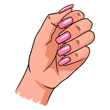 Nails & Accessories