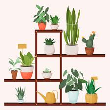 Plant Stands
