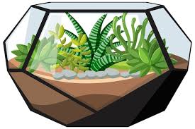 Terrariums