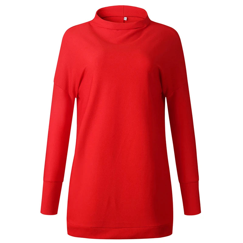 Turtleneck Loose Long Sleeve Mini Dress