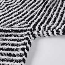 Zebra Print Striped Knit Pants