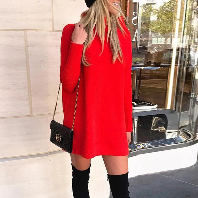 Turtleneck Loose Long Sleeve Mini Dress