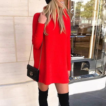 Turtleneck Loose Long Sleeve Mini Dress