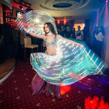 LED Colorful Fairy Wings Butterfly Belly Dancing Costume