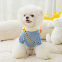 Cute Carrot Satchel Two Feet Pet Clothes