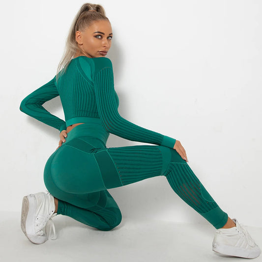 2PCS Seamless Quick Dry Long-sleeved Fitness Set