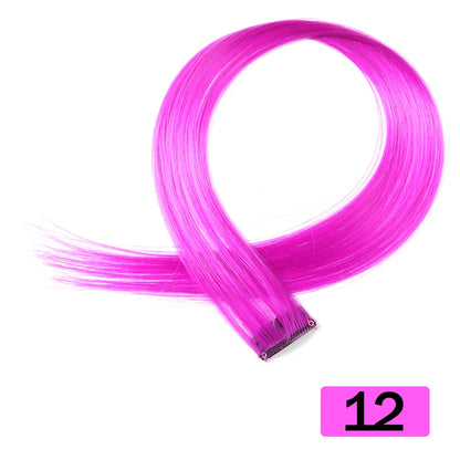 HAIRSTAR 22-Inch Synthetic Colored Clip-In Hair Extension