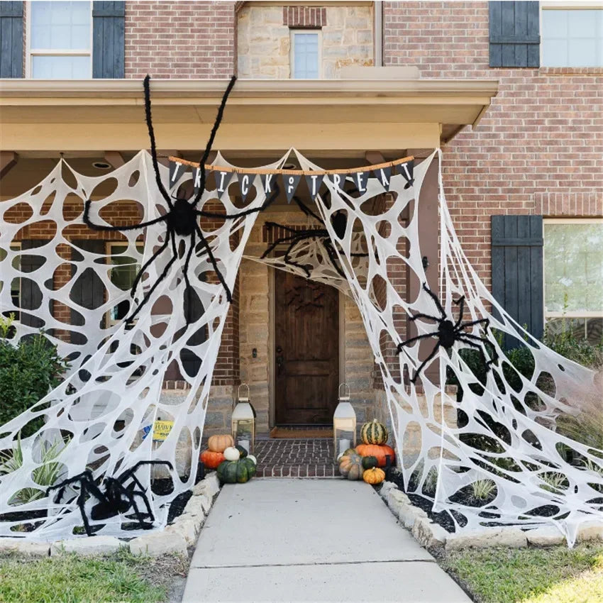 Giant Stretchy Spider Web
