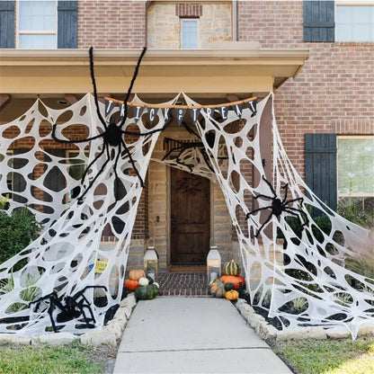 Giant Stretchy Spider Web