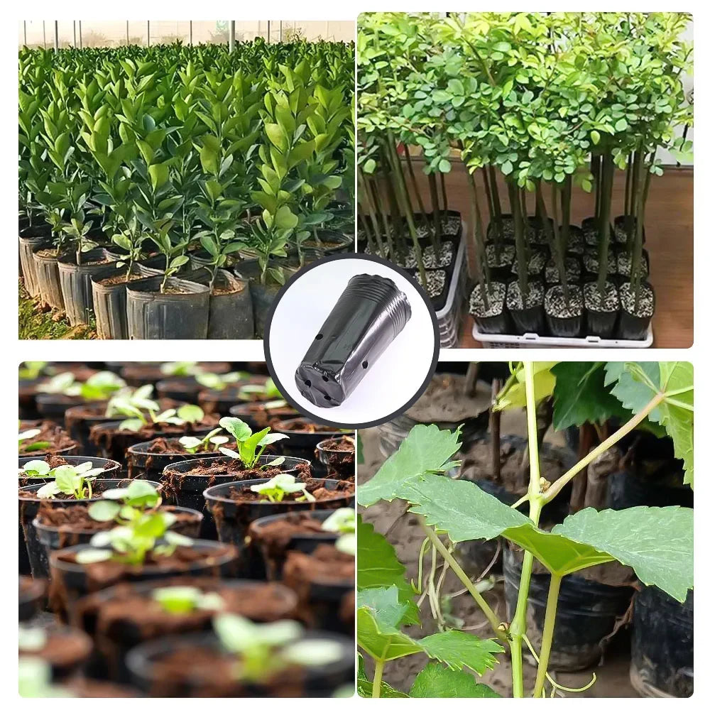 Tall Plastic Deep Nursery Tree Pots with Drainage Holes