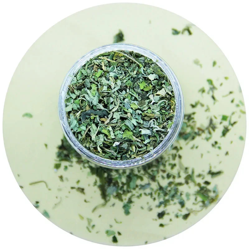 Organic 100% Natural Catnip Cattle Grass  Mint Taste