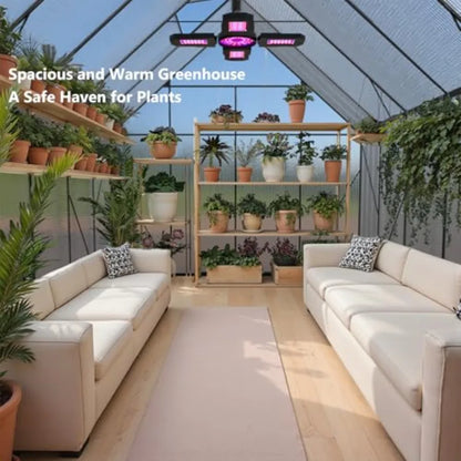 Walk-in Outdoor Garden Greenhouse with Heavy Duty Polycarbonate Panels 10x10 ft