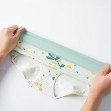 High Waist 4Pcs Cotton Panties