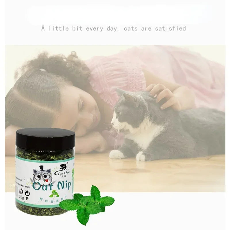 Organic 100% Natural Catnip Cattle Grass  Mint Taste
