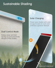 Dual Control Automatic Motorized or Pull Down Roller Shades Screen