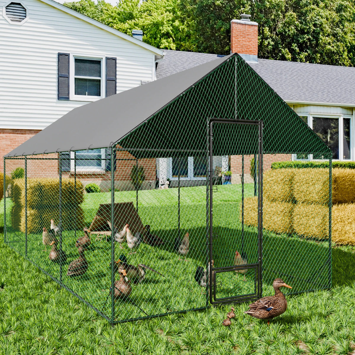 Heavy Duty Outdoor Metal Chicken Coop & Poultry Run