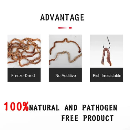 Dry Lugworm Sandworms Lifelike Smelling Fishing Worms