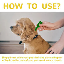 Topical Flea and Tick Treatment