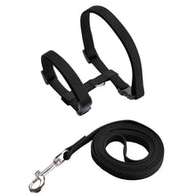 Rabbit/Cat Harness and Leash Set