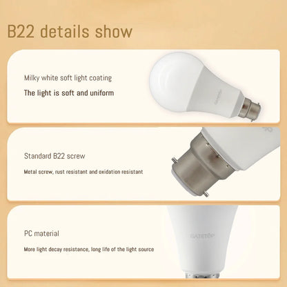 High-Efficiency Energy Saving LED Light Bulbs (E27 / B22 Base)