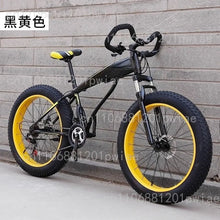Large Tire Dual Shock Absorption Variable Speed Bicycle