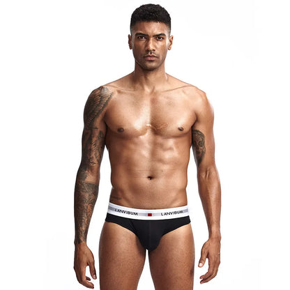 3pcs LORIEN CREST Cotton Low Waist Briefs