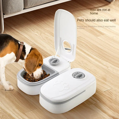 Automatic Feeding Bowl with Timer