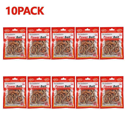 Dry Lugworm Sandworms Lifelike Smelling Fishing Worms