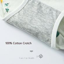 High Waist 4Pcs Cotton Panties