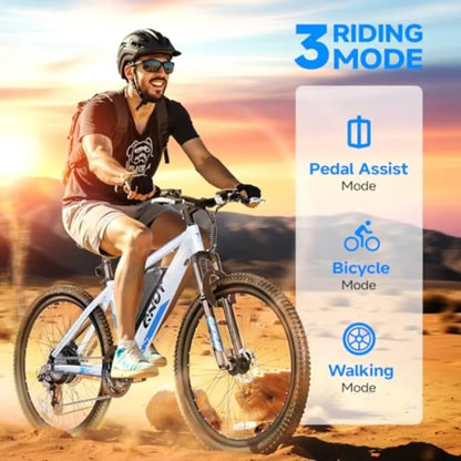 750W Peak 26 Ebike