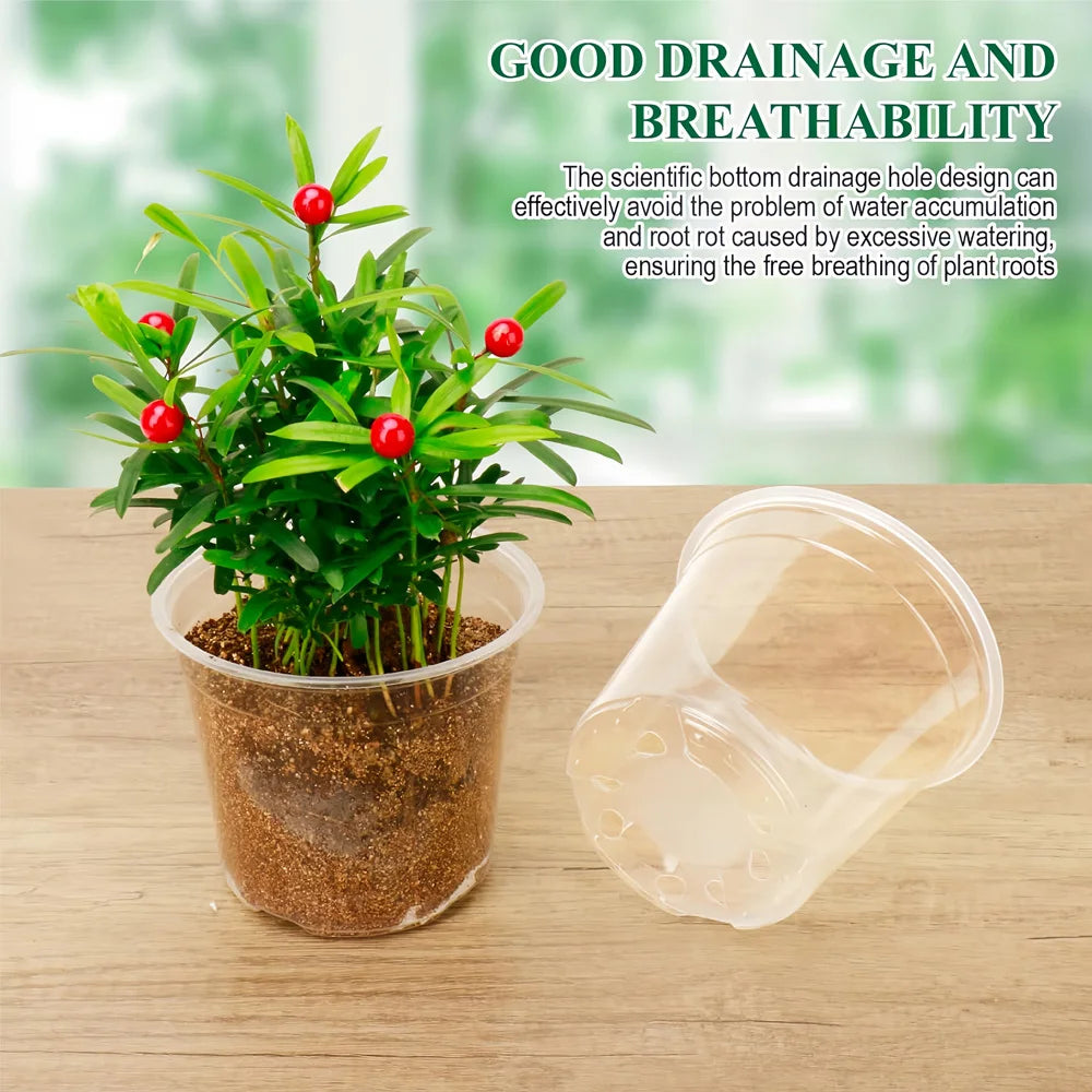 30-Pack Clear Plastic Nursery Pots with Drainage Holes