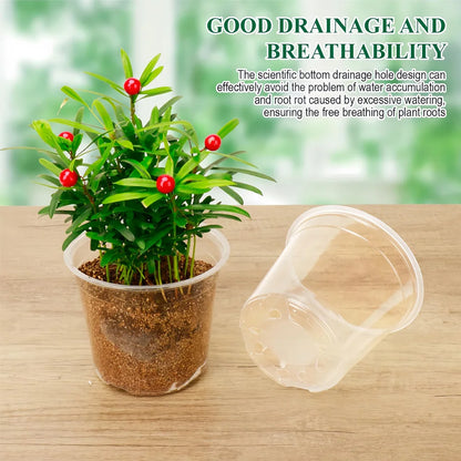 30-Pack Clear Plastic Nursery Pots with Drainage Holes