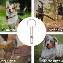 Ultrasonic Dog Whistle Trainer
