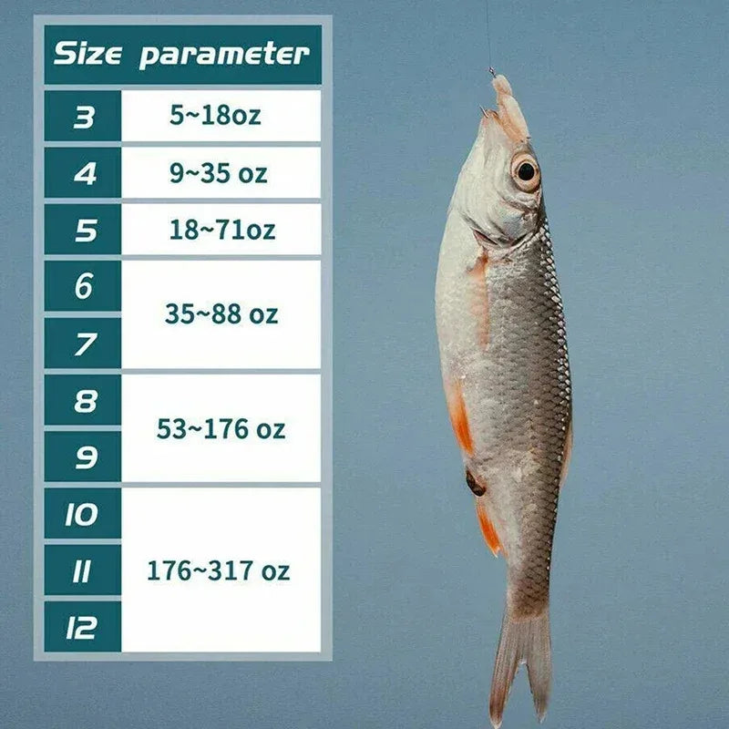 Carbon Steel Barbed Circle Fishing Hooks Set (Sizes 3#–12#)