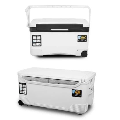 Portable Insulated Fishing Cooler & Tackle Box