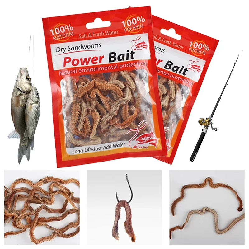 Dry Lugworm Sandworms Lifelike Smelling Fishing Worms