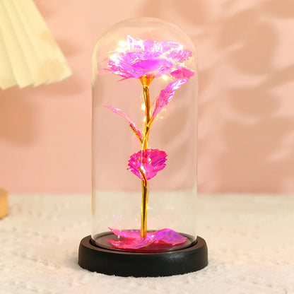 Valentines Day Eternal Rose LED Light