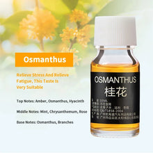 Essential Aroma Diffuser Air Humidifier Home Water-soluble 10ml Oils