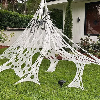 Giant Stretchy Spider Web