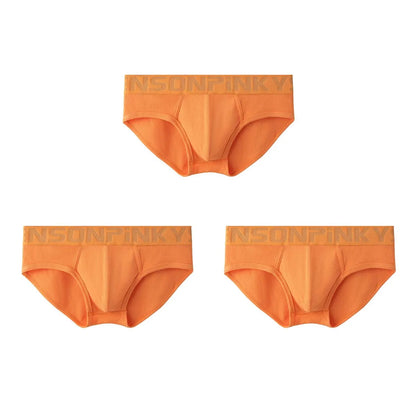 3pcs Low-Waist Briefs