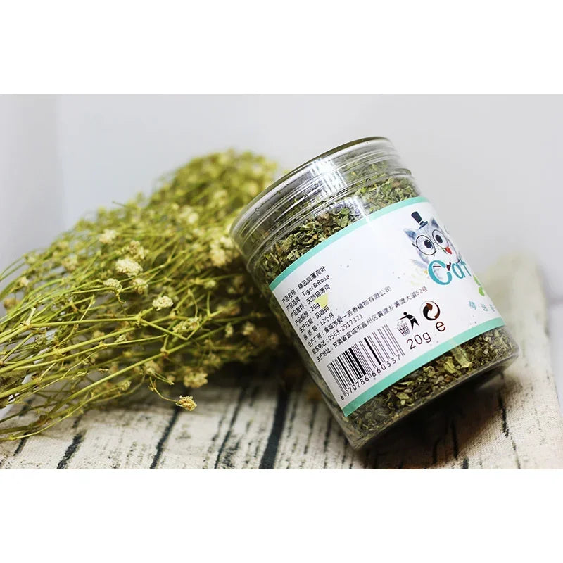 Organic 100% Natural Catnip Cattle Grass  Mint Taste