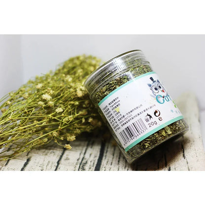 Organic 100% Natural Catnip Cattle Grass  Mint Taste