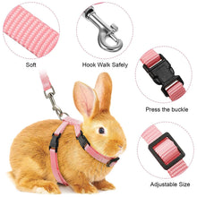 Rabbit/Cat Harness and Leash Set