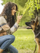 Ultrasonic Dog Whistle Trainer