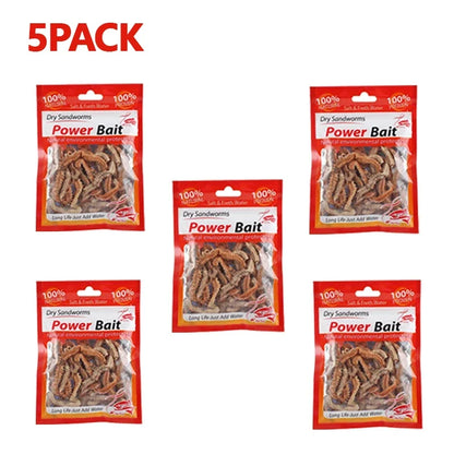 Dry Lugworm Sandworms Lifelike Smelling Fishing Worms